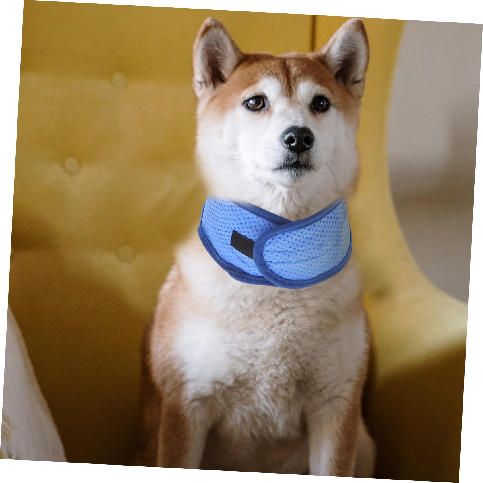 Kisangel 5stücke Kühlendes Hundehalsband Aus Atmungsaktivem Material Für Heiße Sommertage Bietet Angenehme Kühlung Für Hunde Mit Dickem Fell Zufälliger Stil