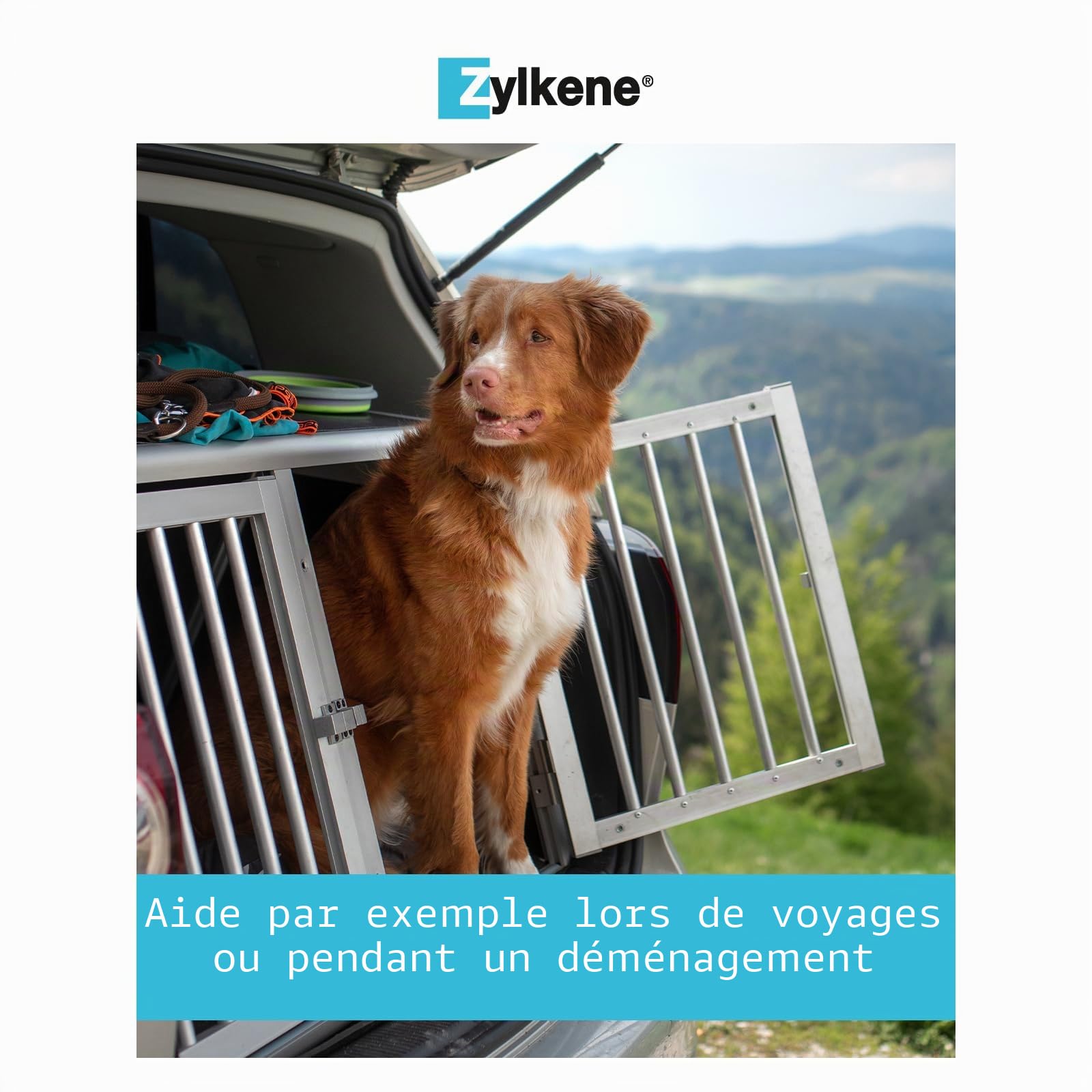 Vetoquinol Zylkene - Aliment Complémentaire Apaisant Ponctuel - Chiens Moyens de 10-30kg - Effet Calmant - Ingrédient d'origine Naturelle - 100 Gélules