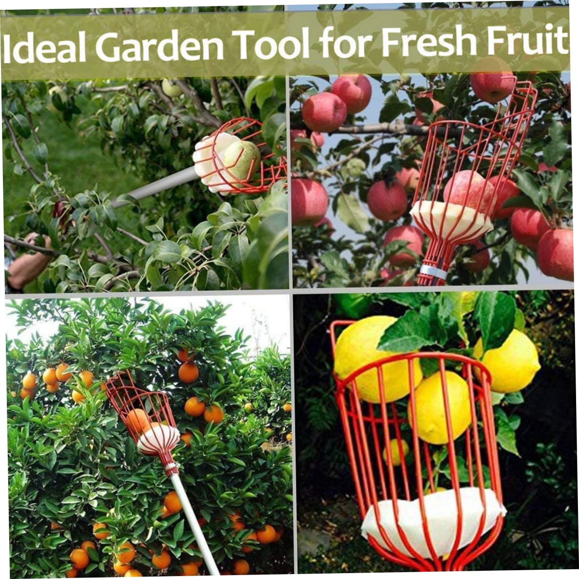 Cueilleur De Fruits Avec Panier - Outil De Récolte Pour Pommes, Avocats, Poires Et Pêches