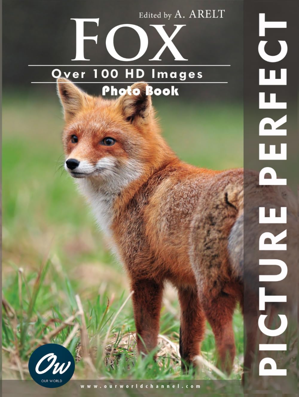 Fox: Picture Perfect Photo Book