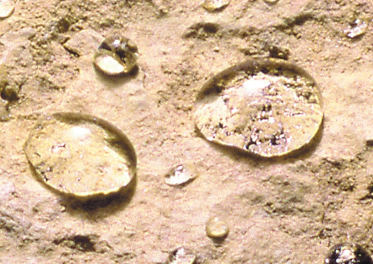 Impermeabilizante Fachada Incolora Alto Rendimiento Fórmula Planta-ImperGuard Especial Fachada-Piedra, Crepis...-5años-20L-200m2