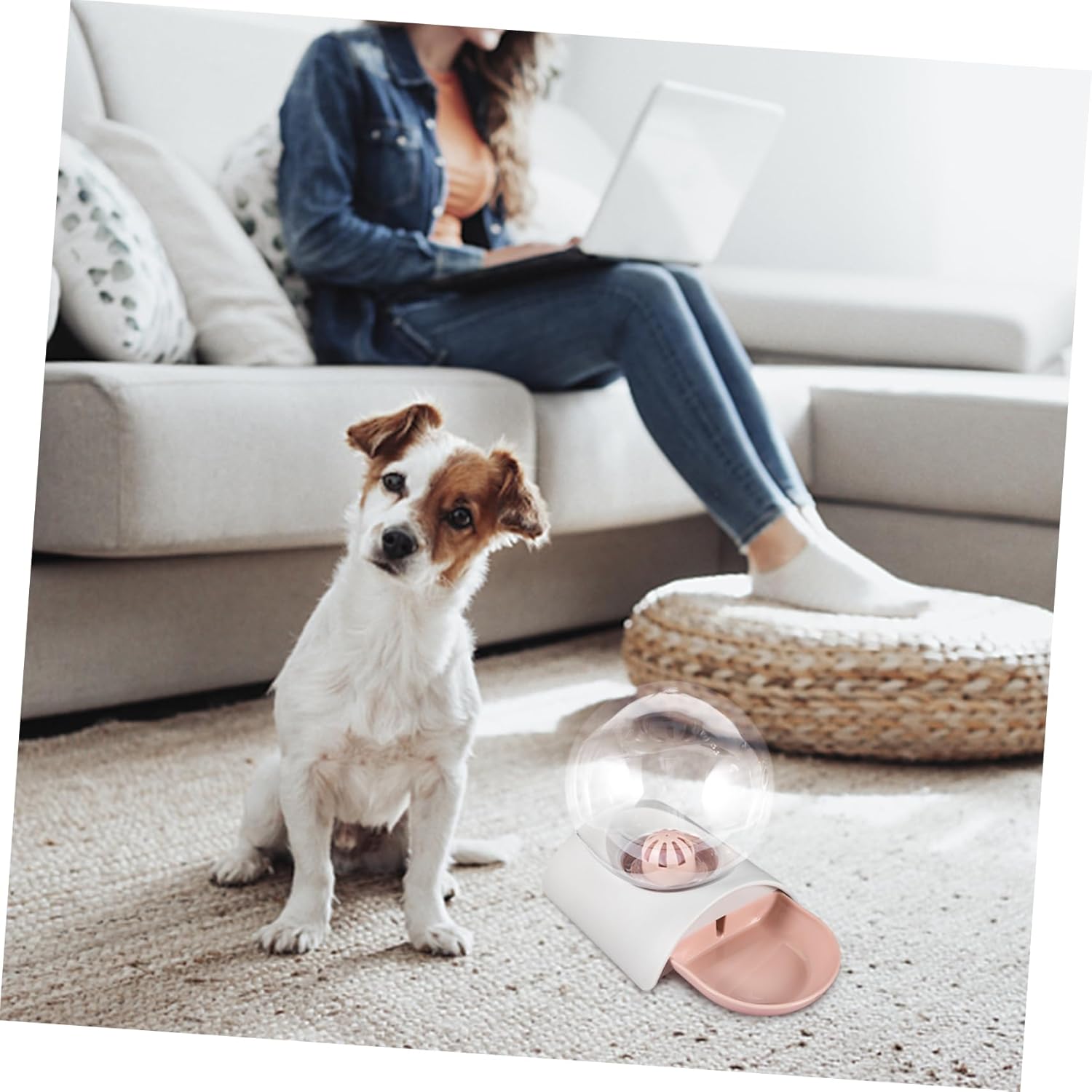 Dog Cat Automatic Waterer Water Fountain Large Storage Abs Acrylic Easy to Clean