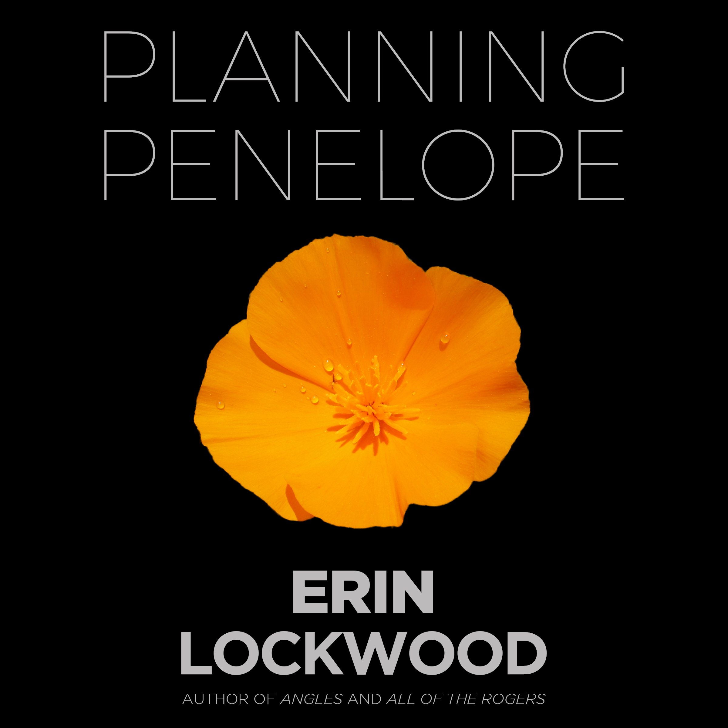 Planning Penelope