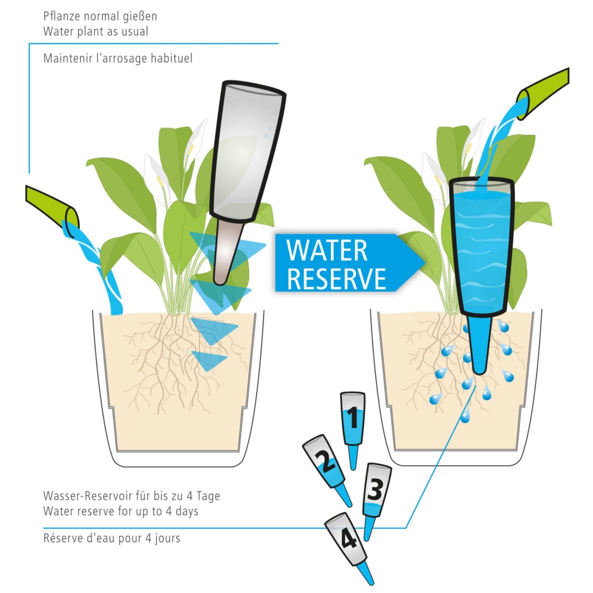 Scheurich Wasserspender Copa XXL | 4er Set Grün/Transparent | 1000 ml Füllmenge | Bewässerungskugel klein mit Ton Fuß | Wasserspender Pflanzen und Blumen Terrakotta Stiel