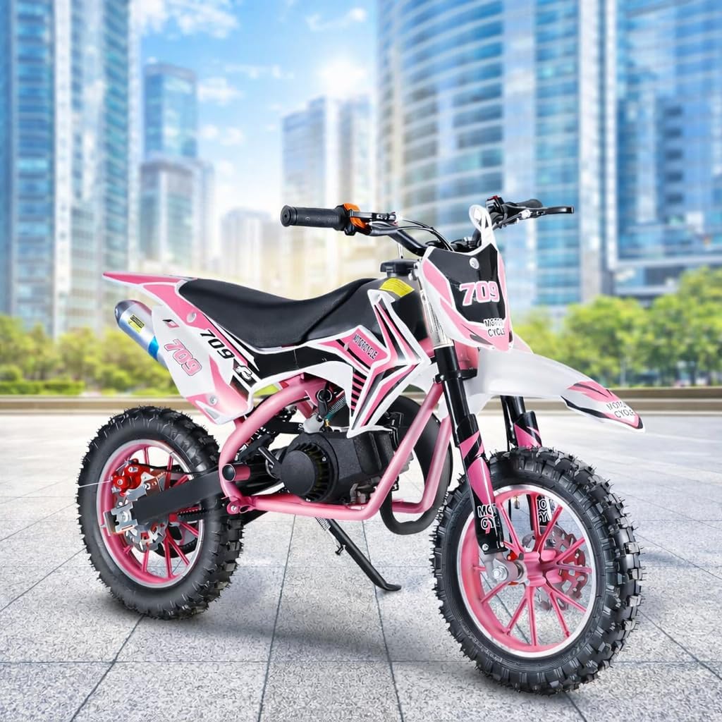 Kids Dirt Bike, 2-Strok Upgraded Gas Dirt Bike, Gas Power Motocross Bike, Off Road MIni Motorcycle, Mini Dirt Bike for Kids, Gas Powered Dirt Bike with Front Rear Disc Brakes Pink