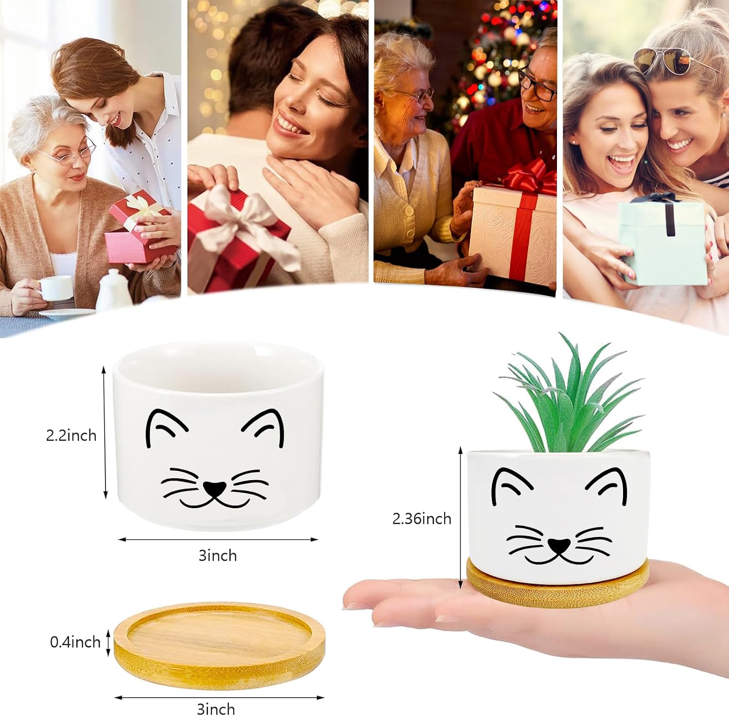 Cat Succulent Pots for Window Garden Cat Gifts for Women 3 Inch image 4