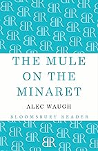 The Mule on the Minaret: A Novel about the Middle East