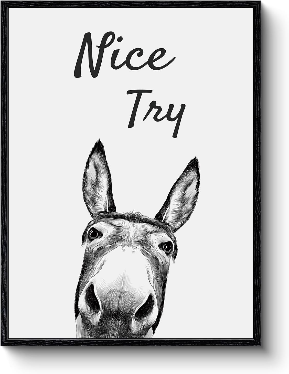 VIYYIEA Framed Canvas Wall Art, Vintage Wall Art for Living Room, Funny Oil Painting Picture Summer Home Decor Bathroom Wall Decor Momthers Day Gifts -【Nice Try】-(12x16 Black)