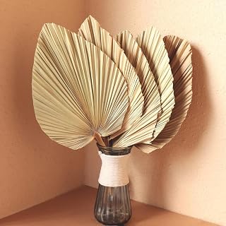 Natural Dried Palm Leaves, 17.3 Inch, Beige and Brown, for Wedding Decor and Centerpieces (5pc Fan Palm Stems)