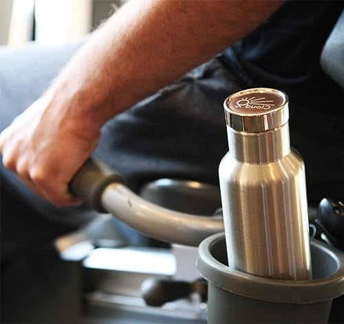 Miniatura 3 de Cloud9 Botella térmica de acero inoxidable de doble pared aislada al vacío sin plástico con colador de téfrutas, 15 oz - 17 oz