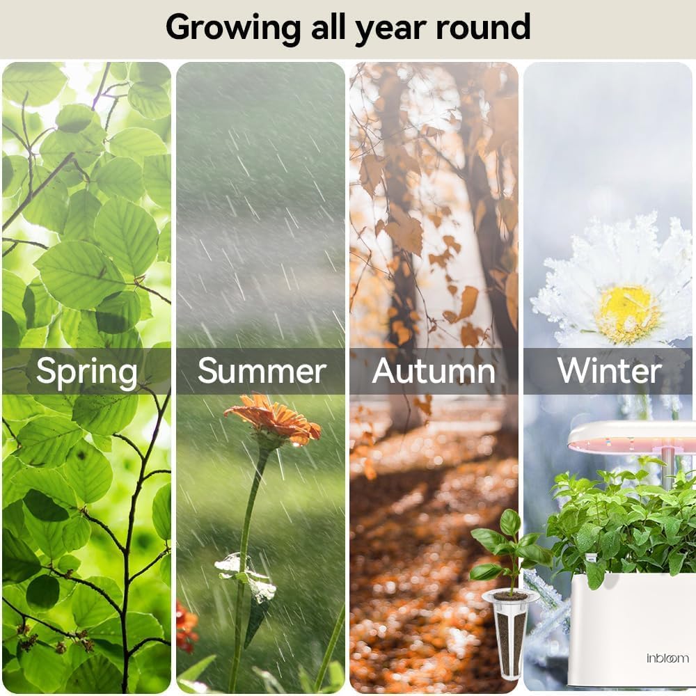 inbloom Fragrant Bouquet Flower Seed Pod Kit for AeroGarden, iDoo, Ahopegarden, GARDENCUBE, 7 Pods (350+ Flower Seeds with Sunflower, Mexican Marigold, Cockscomb, French Marigold, Dahlia) - Image 8