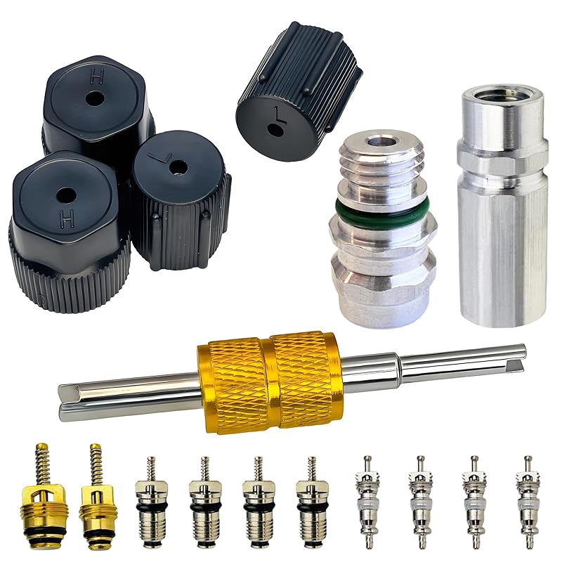 Kit de Reparação de Válvulas de Serviço para Ar-Condicionado R12 R22 e R134a VOTNMIC com Tampas, Núcleos e Removedor