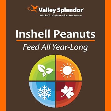 Red River Commodities 347 Peanuts In A Shell 3lbs.