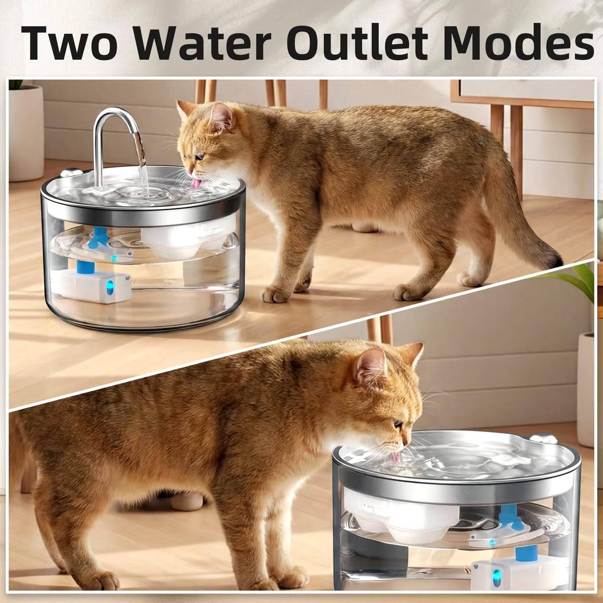 Casfuy PWB-004 - Fuente de agua silenciosa para gatos sin BPA con base de vidrio y bandeja de acero inoxidable, 95 onzas