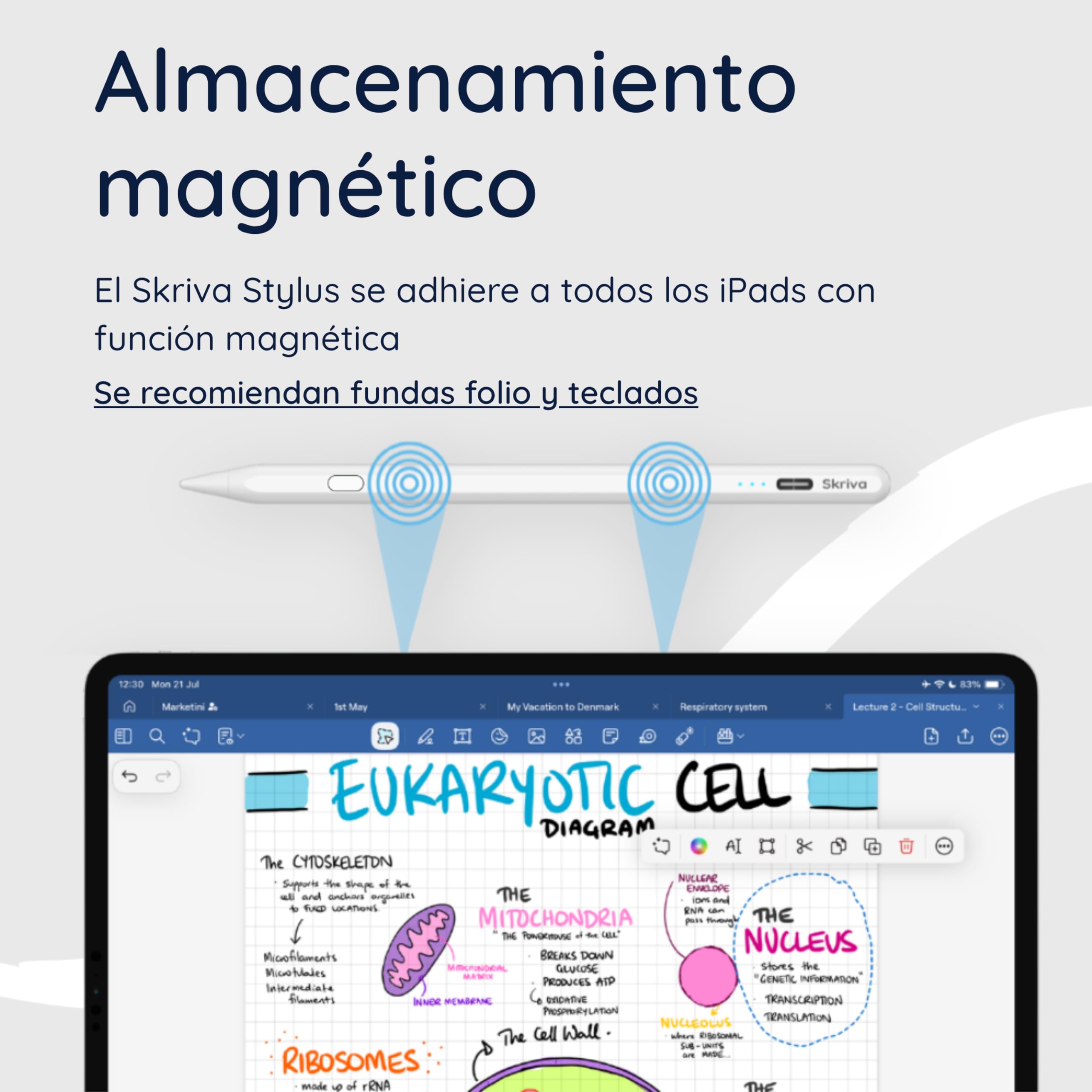 Lápiz táctil Skriva para iPad (2018+) con botón de Acceso rápido, inclinación y rechazo de Palma, fijación magnética, Carga USB-C rápida, indicador batería, Funda y Puntas