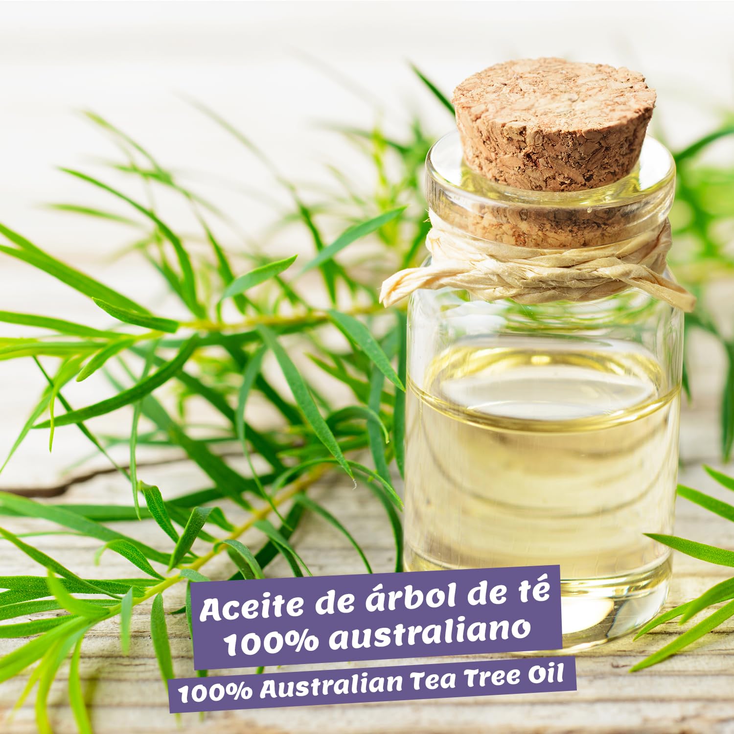 Aceite de Árbol de Té 10ml - 100% natural & puro - Tea Tree Oil - Aceite esencial individual
