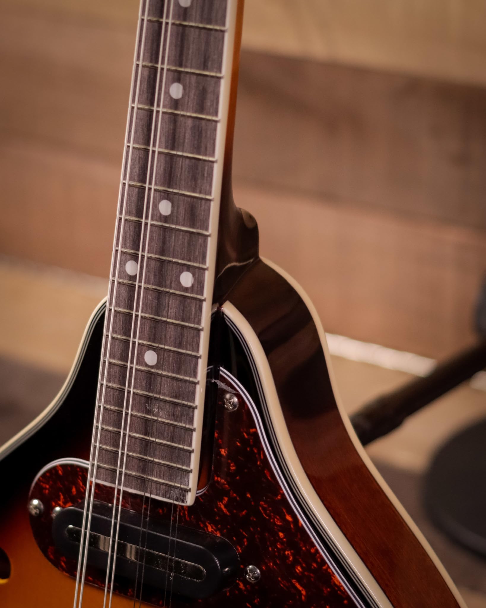 Amazon | Ibanez M510E A-STYLE アコースティックエレクトリック