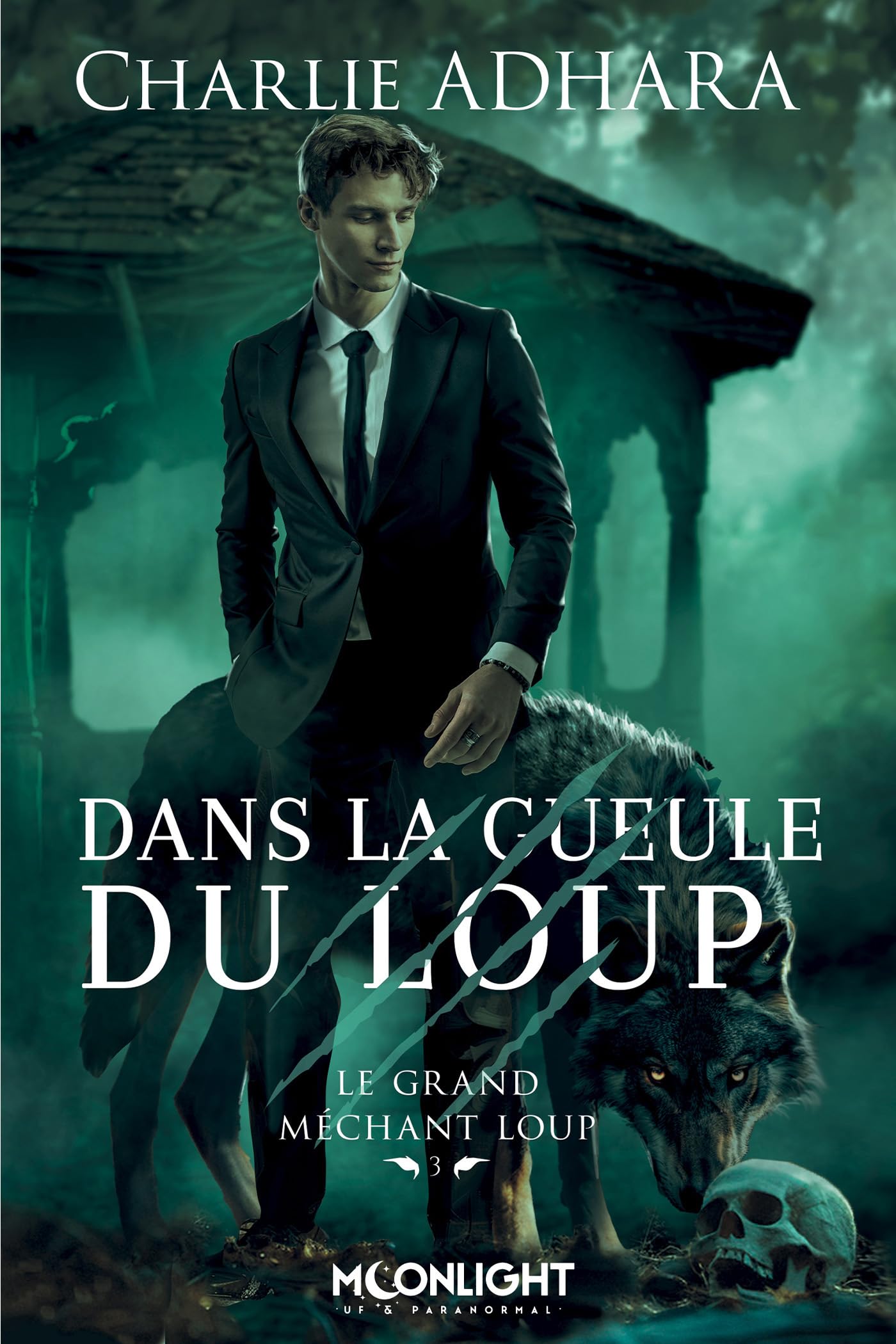 Dans la gueule du loup: Le grand méchant loup 3