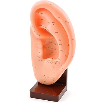 GEL DI SILICE Orecchie Artificiali Finta Dell'orecchio EUR 11,55 - Foto 6