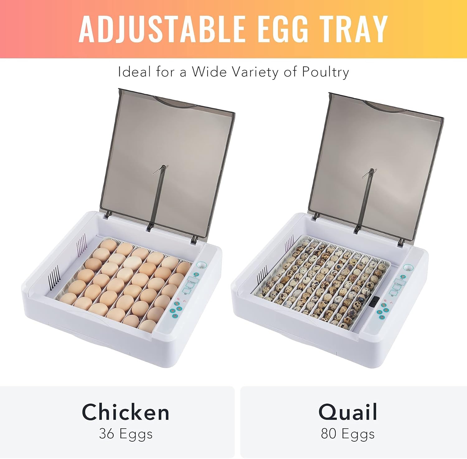 卸し売り購入 36個の卵インキュベーターデジタルクリア家禽孵化機温度および湿度制御チキンダックグースウズラの卵用ledキャンドラー Therapeuticapillows Ca