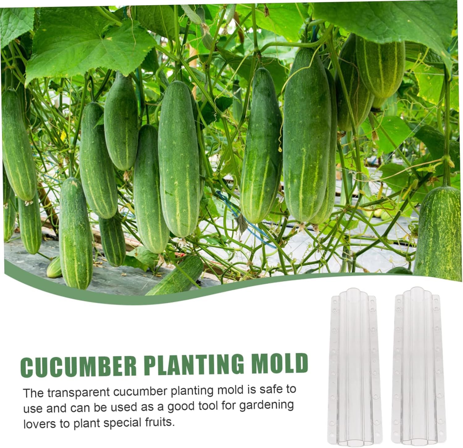 Stampo Per Anguria E Zucca A Forma Di Cuore O Quadrato - Per Giardinaggio Creativo - Foto 8