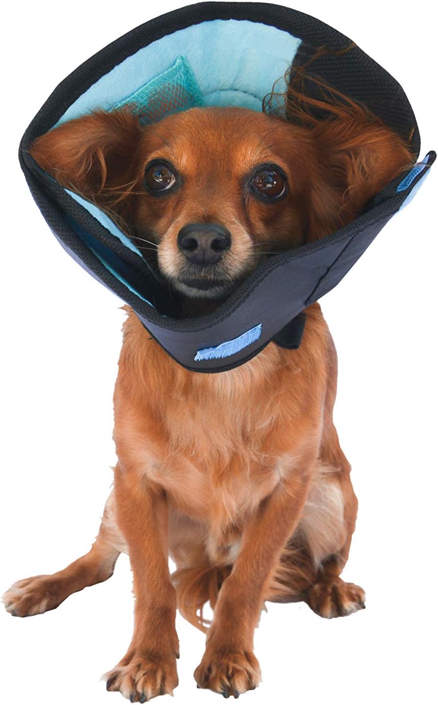 Calm paws dog caring collar with calming Clearance