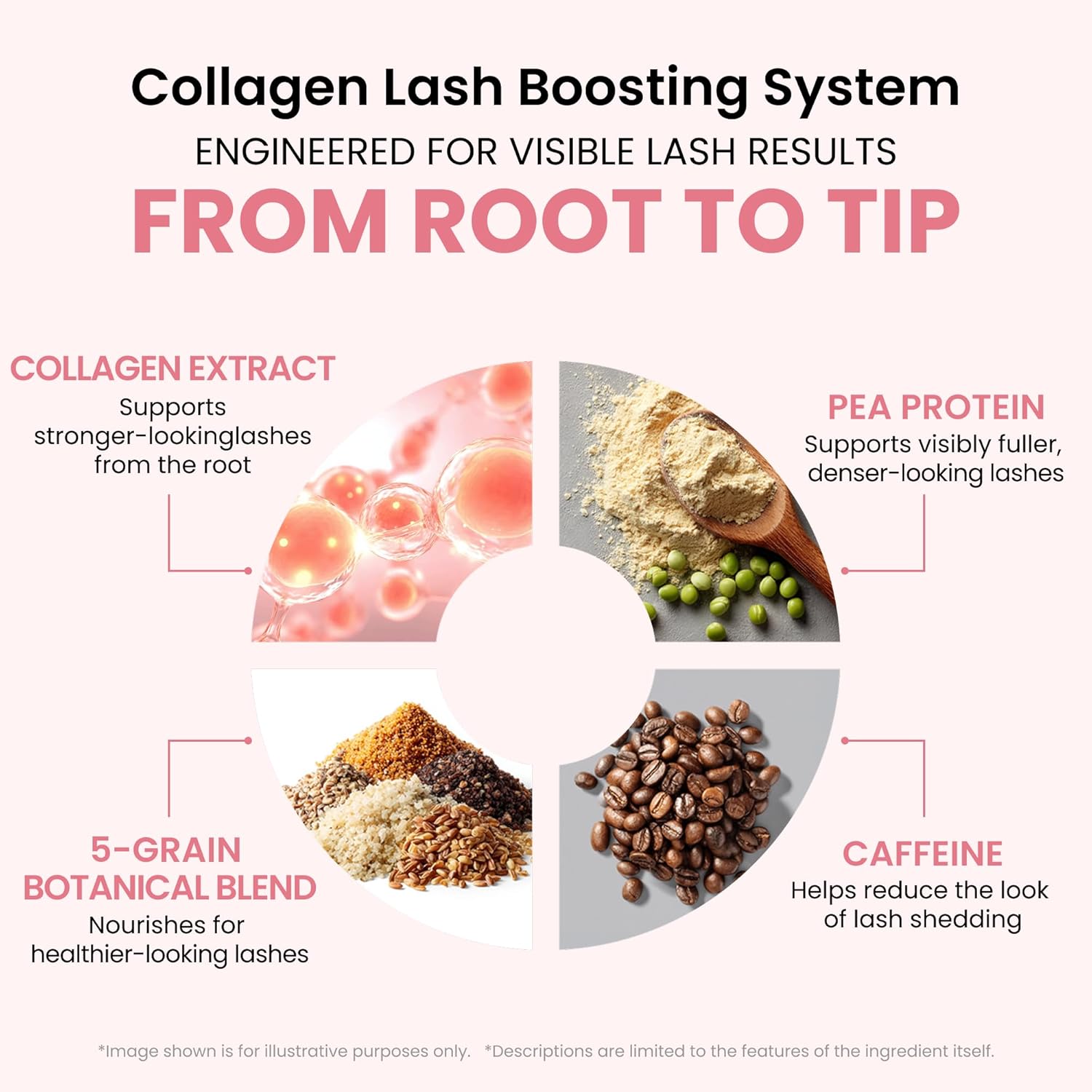 Celare Collagen Lash Care Dual Serum | Fuller, Thicker-Looking Lashes | Clinically Tested 4 Weeks | 2-in-1 Lash & Brow Enhancer | 0.43 fl oz | Collagen + Caffeine | K-Beauty | For Women & Men