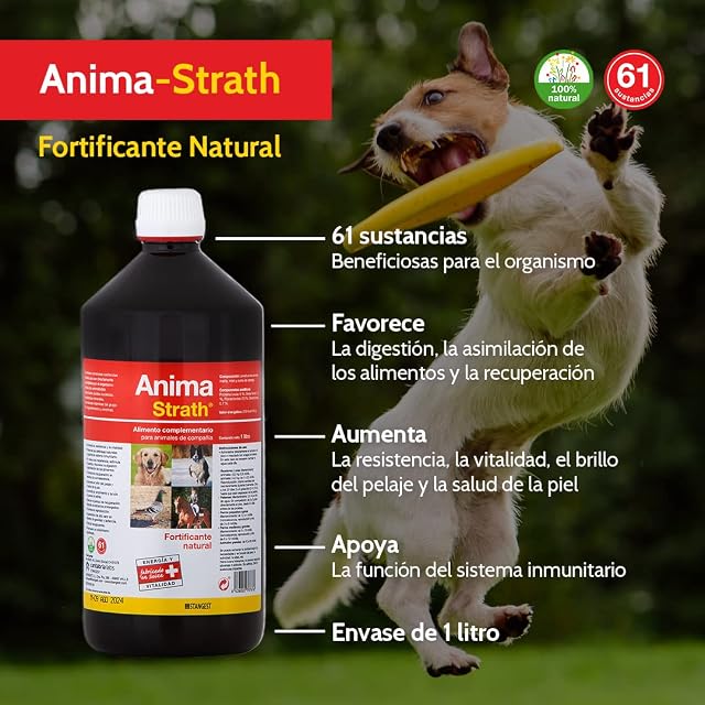 Foto 2 de 4 de Stangest Anima-Strath Suplemento Nutricional para Animales de compañía