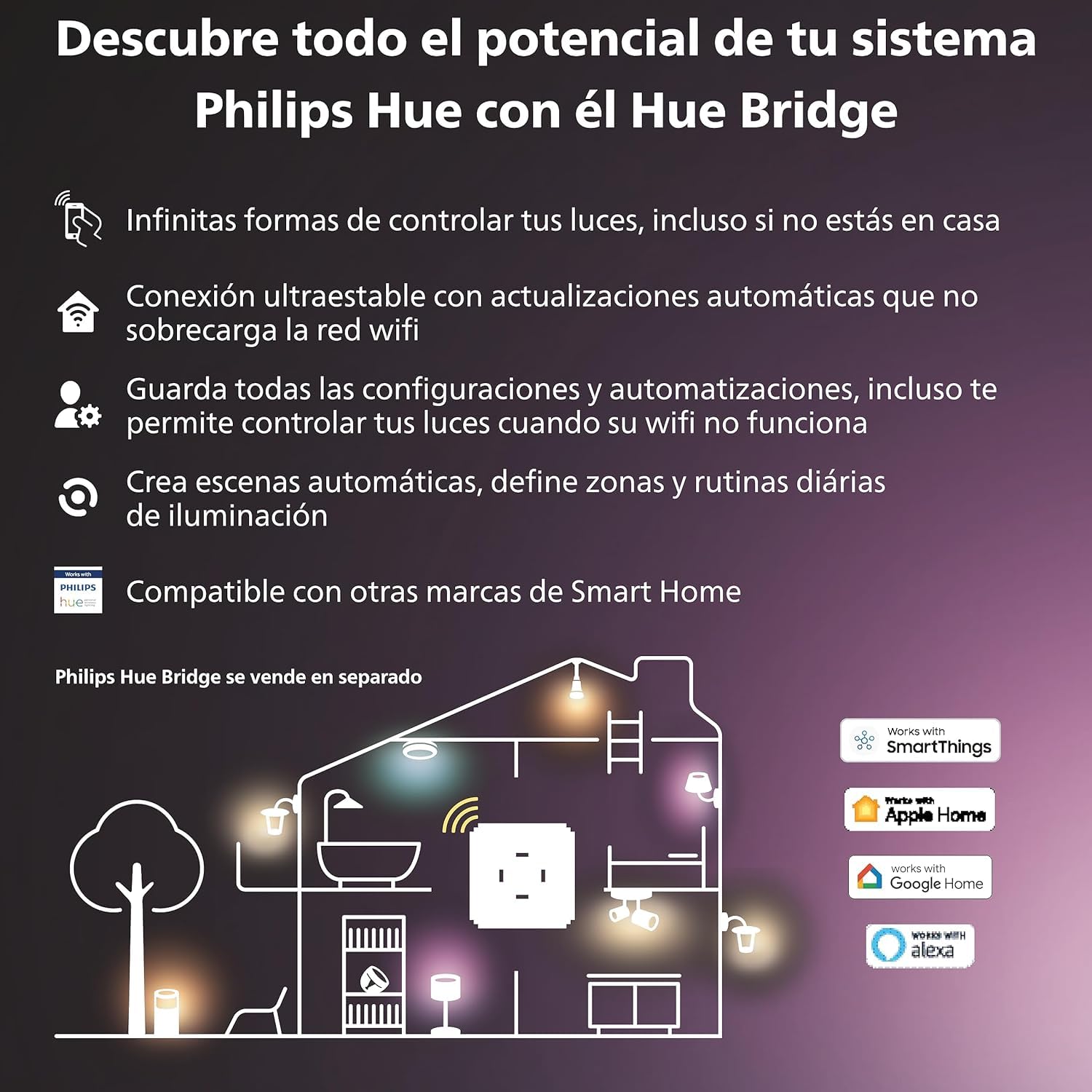 Philips Hue Guirnalda Festavia, Luz Blanca y de Colores, Regulable, 250 Micro LEDs, 20 m, Resistente al Agua, Compatible con Amazon Alexa, Echo, Echo Dot