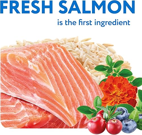 Miniatura 3 de OPtimeal Alimento para perros con piel sensible y estómago, orgullosamente ucraniano, sabrosa receta seca con soporte para la piel y la digestión,