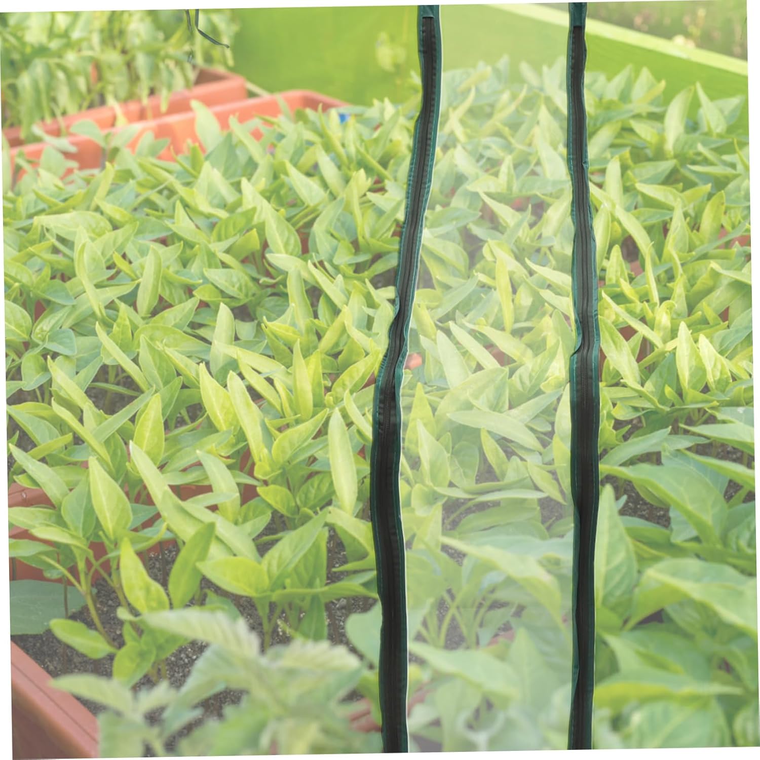 Mini Greenhouse Replacement Cover with Folding Design and Zipper Door UV Resistant PVC Sheeting for Outdoor Garden Plants Portable Patio Plant Shelter for Lawn and Backyard