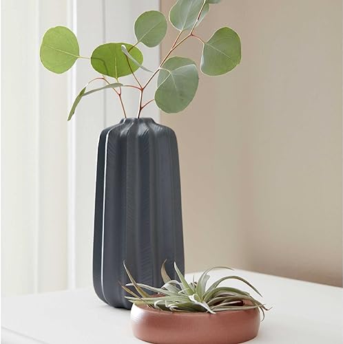 Vista 264 de Krylon - Pintura y primer en aerosol COLORmaxx K05511007, 12 onzas, rojo cereza brillante Cherry Red