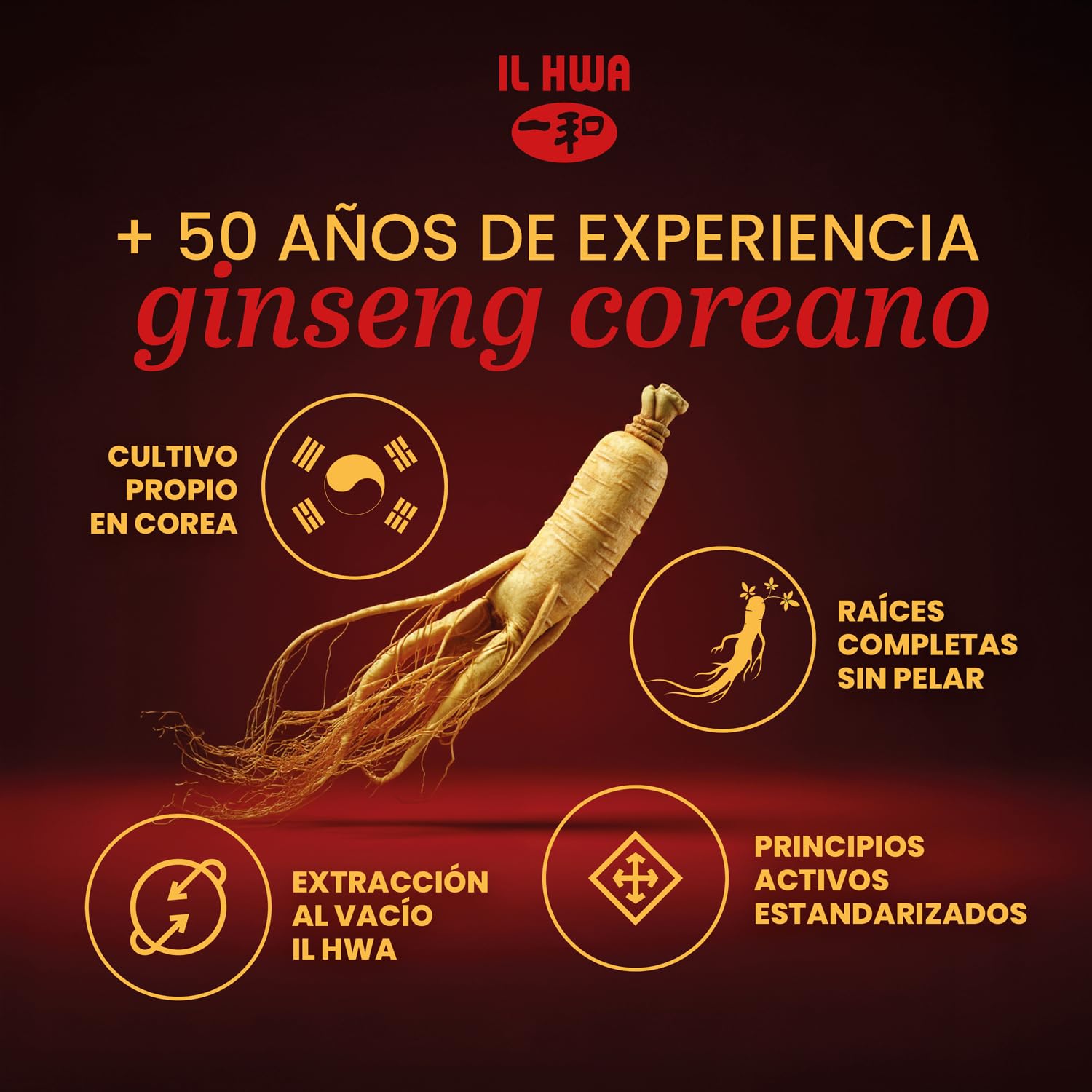 Ginseng Coreano Puro, Calidad Ilhwa, 500 mg, 100 cápsulas | Panax Ginseng 100% Sin aditivos | Energía Física y Mental | Raíces Maduras de Cultivo Propio y Extracción Exclusiva | de TONGIL
