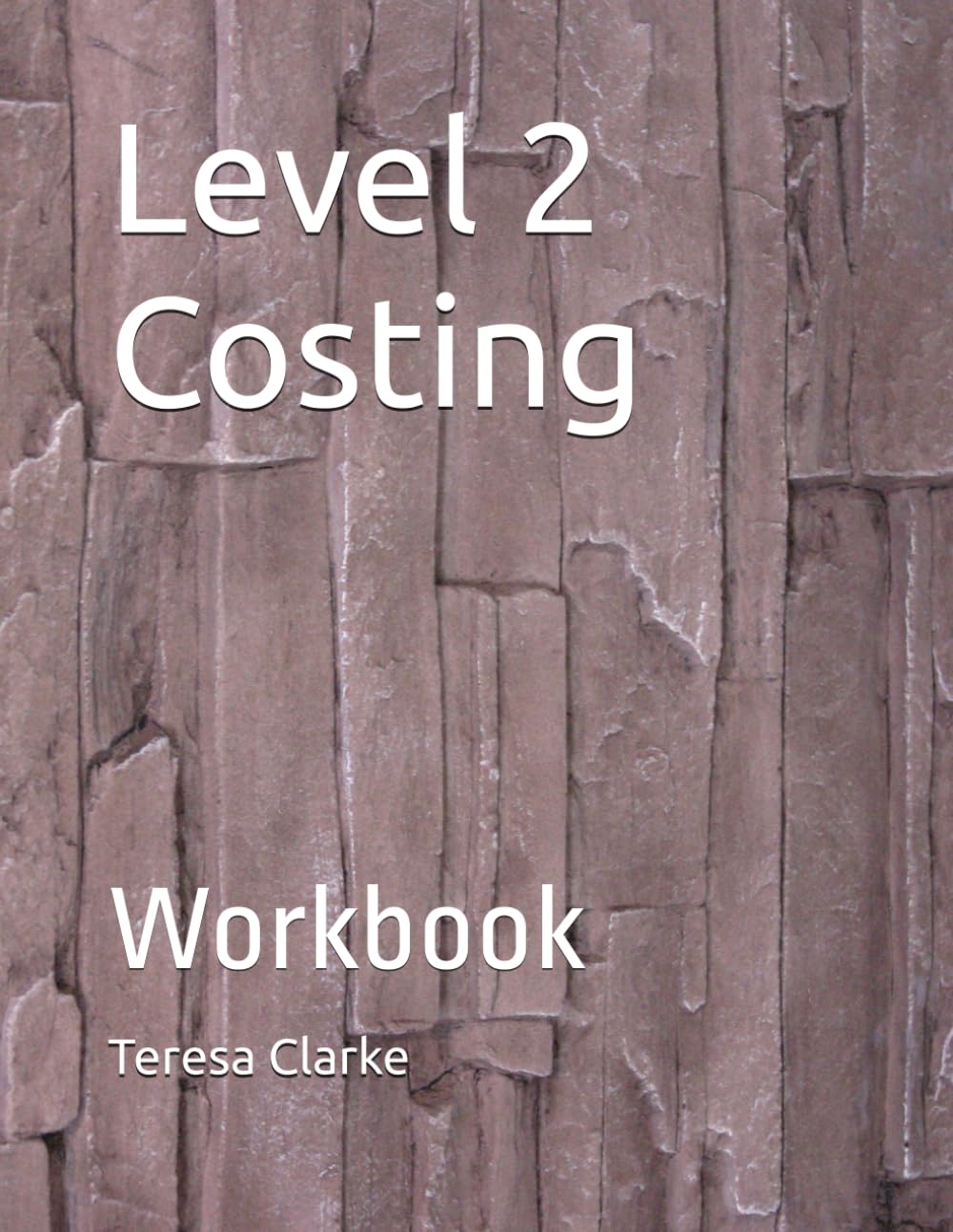 Level 2 Costing: Workbook (Accountancy Revision Workbooks)