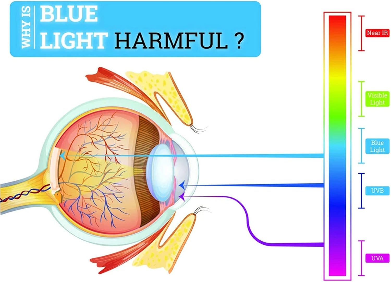 Safety Glasses with Readers 0~+400 for women Men Safety Blue Light Reading Glasses Goggles Eye Protection clear lens - Image 3