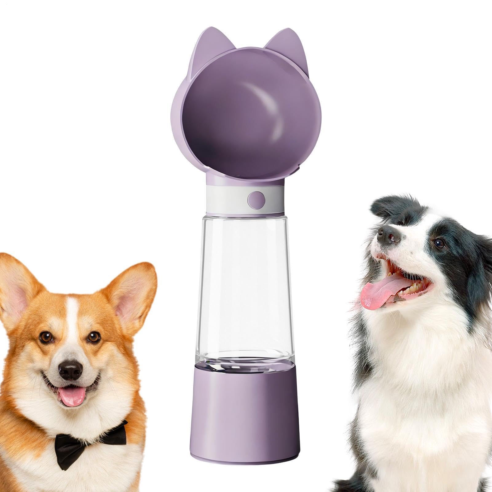 Bouteille pour chien 2 en 1 anti-fuite : distributeur d'eau nomade