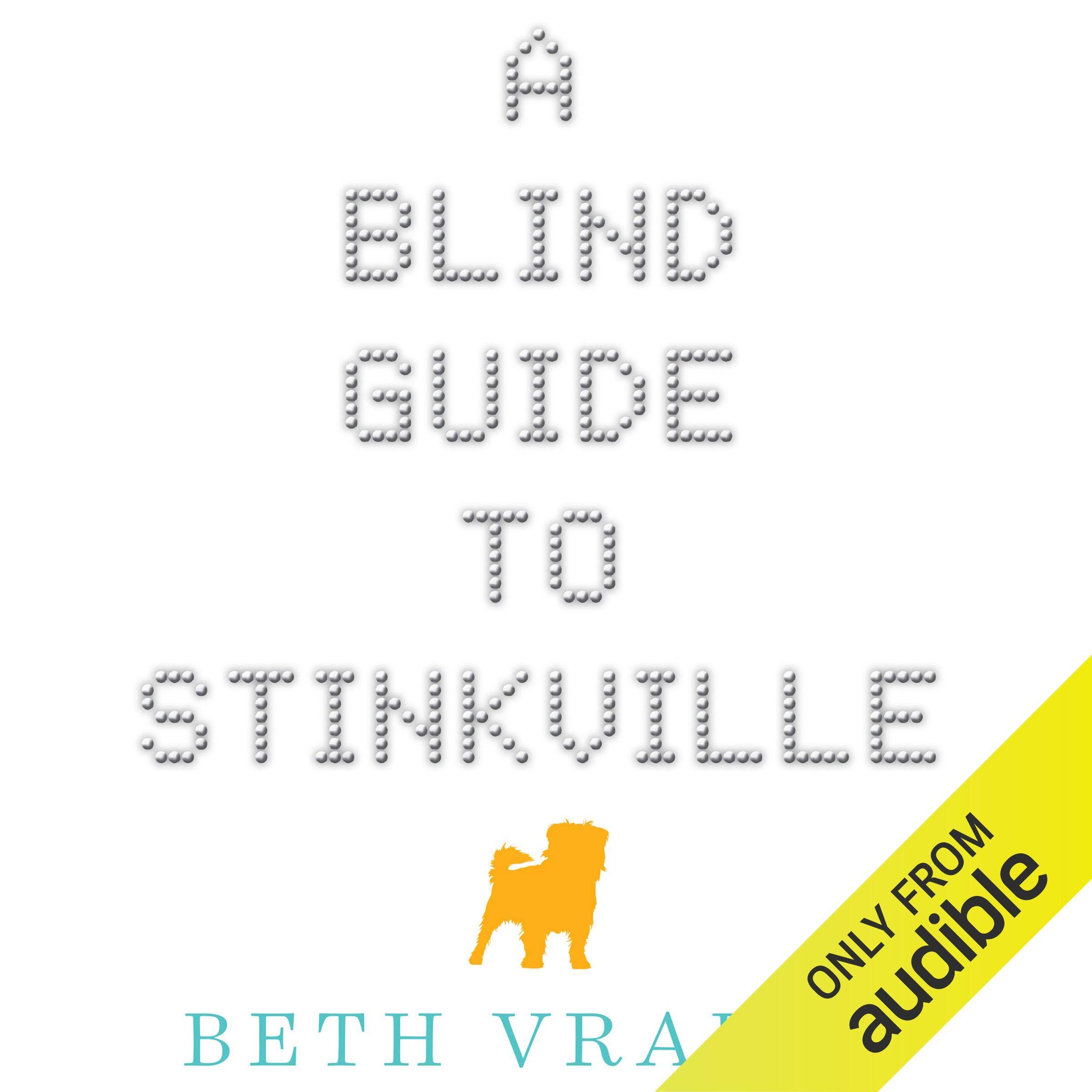 Cover art for A Blind Guide to Stinkville