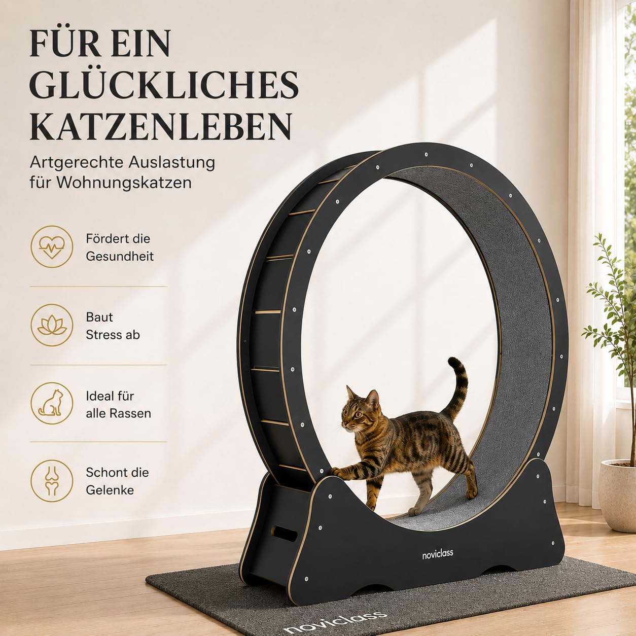 Katzenlaufrad Baghira Groß XXL | 132 cm Durchmesser für alle Katzen | Inklusive Anti-Vibrationsmatte | Kurzfloriger Teppich in 2 Farben zur Auswahl (Schwarz mit grauem Teppich)