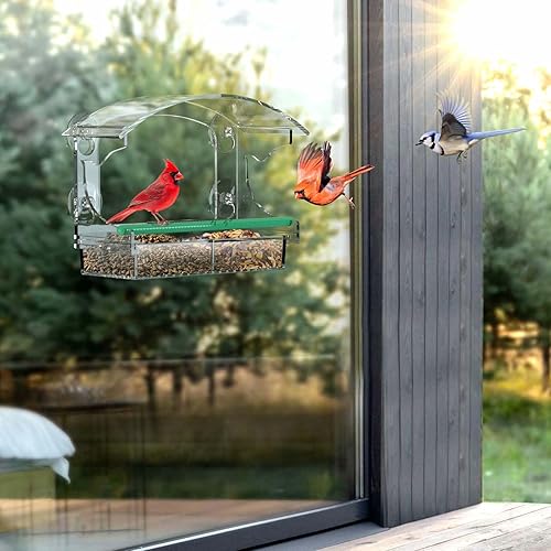Miniatura 6 de Comedero para pájaros de ventana transparente con 4 ventosas fuertes y bandeja de semillas desmontable, comederos acrílicos para pájaros montados en