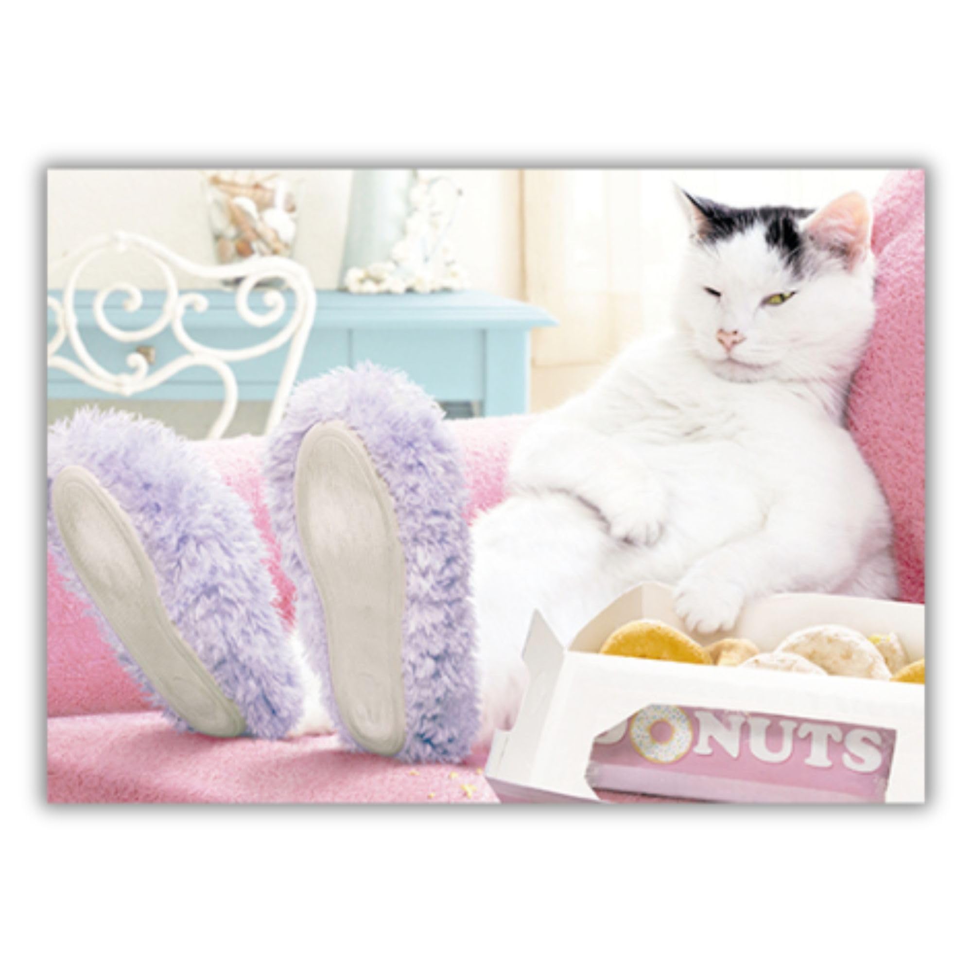 Photographic Greeting Card (GBCC5980) - Birthday - Relaxing Cat