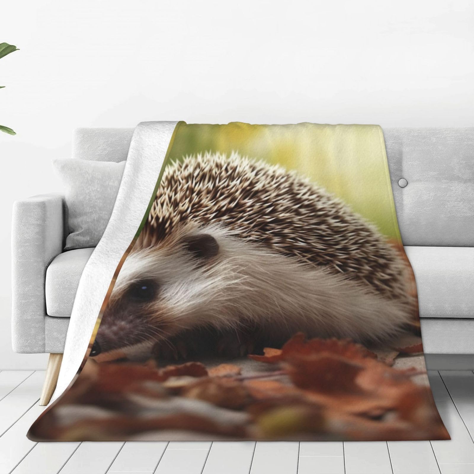 KLOPH Hedgehog Throw Blanket 40"x30" Flannel Fluffy Warm Blanket for Couch, Reversible Plush Blankets for Bed, Comfy Fuzzy Blanket for Sofa, Plush Lightweight-Blankets for All Season