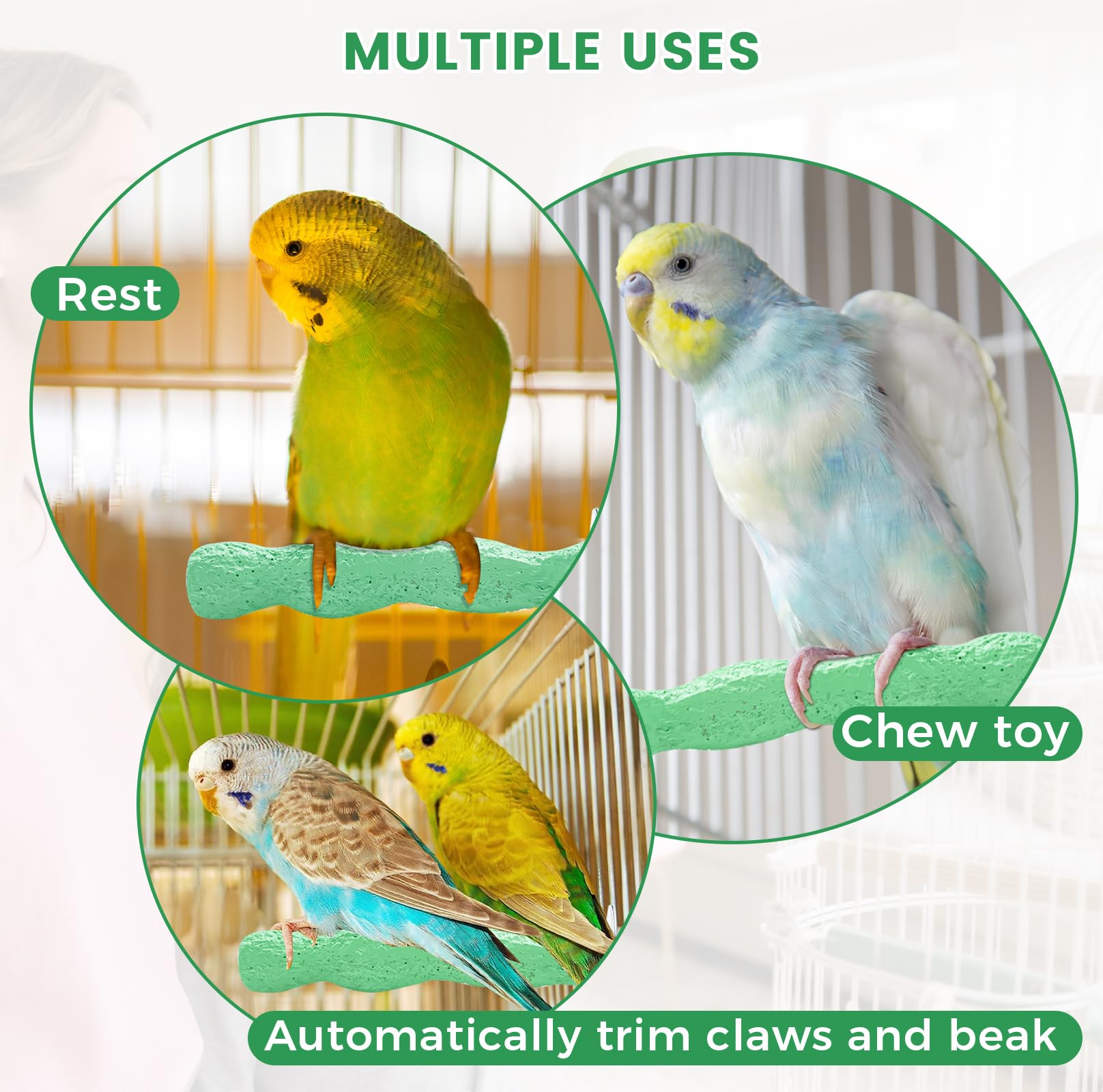 2pcs Bird Beak Grinding Stone, Anti-Slip Parakeet Nail Trimming Stick Resin, Bird Parrot Cage Perch Stand Platform Foot, Claws Trimmer Chewing Toys for Budgies, Parakeets, Cockatiels, Conures - image 6