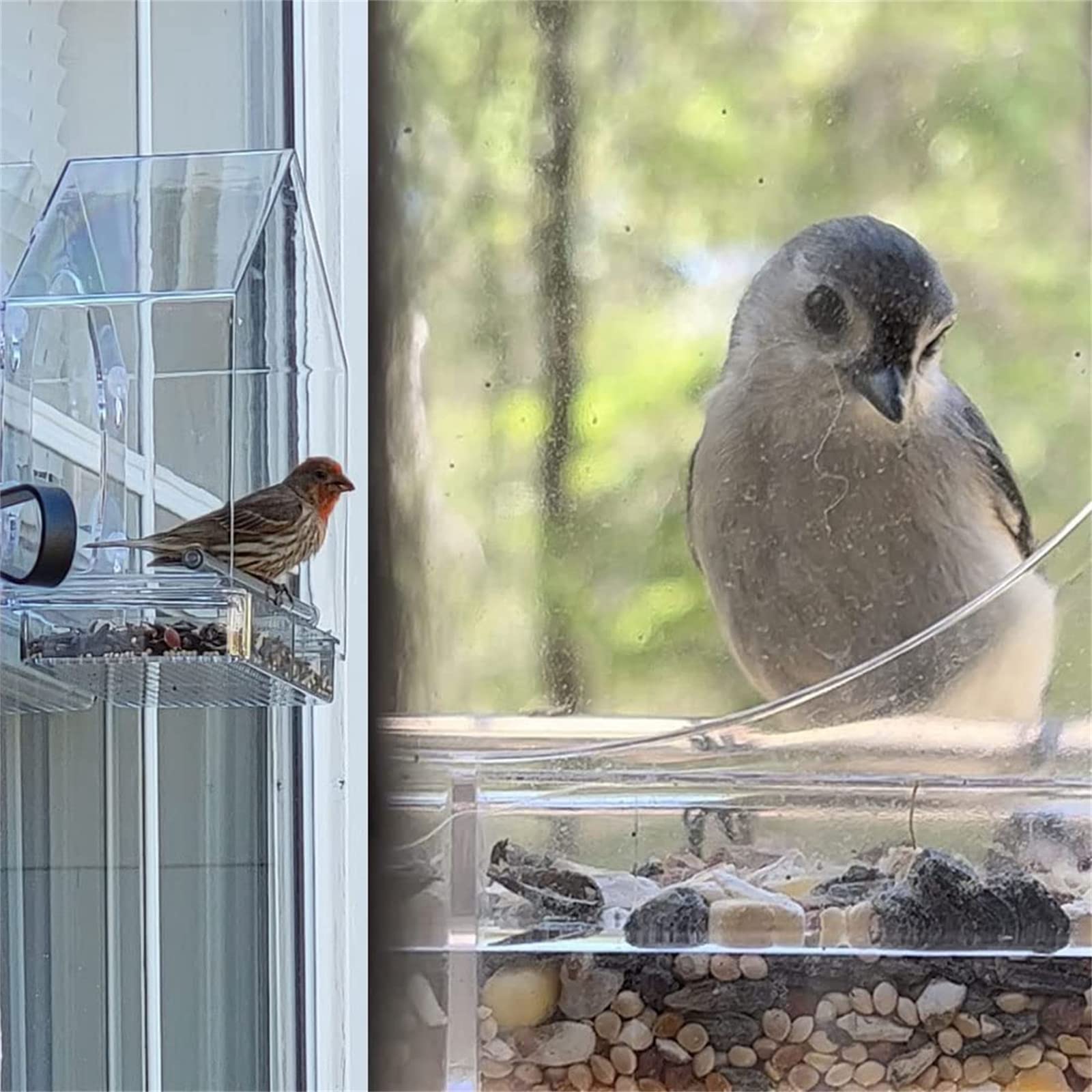 Mangiatoia Per Uccelli Da Finestra In Acrilico Trasparente - Bird-watching Da Casa, Vassoio Rimovibile, Resistente Alle Intemperie - 2