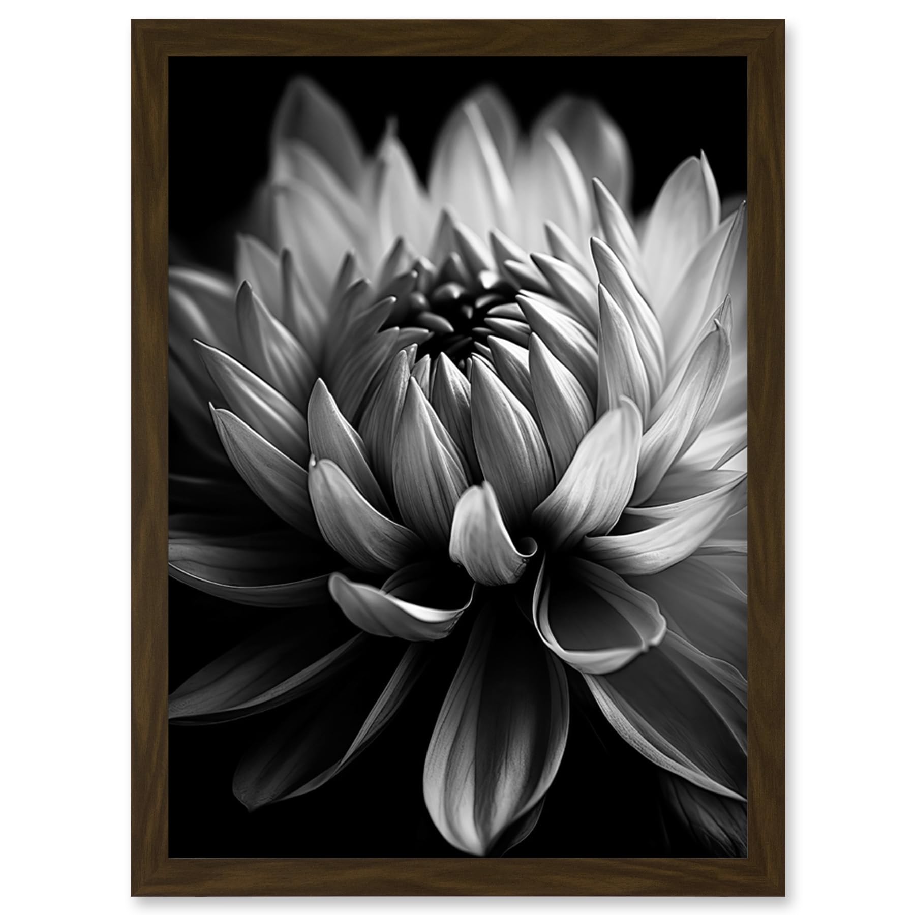 Artery8 Macro Close Up Dahlia Flower Black and White Photo Artwork Framed Wall Art Print A4