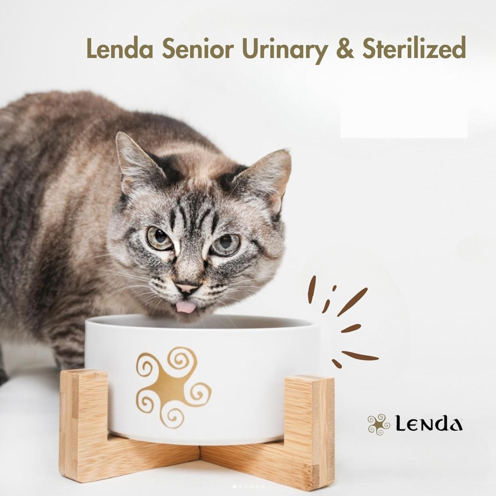 Lenda Chat Senior Urinary & Sterilized 7Kg - Croquettes Chat Urinary pour Chats Âgés avec Problèmes Urinaires - Nourriture Chats Stérilisés - Naturel sans Céréales - Cat Food avec Chondroprotecteurs