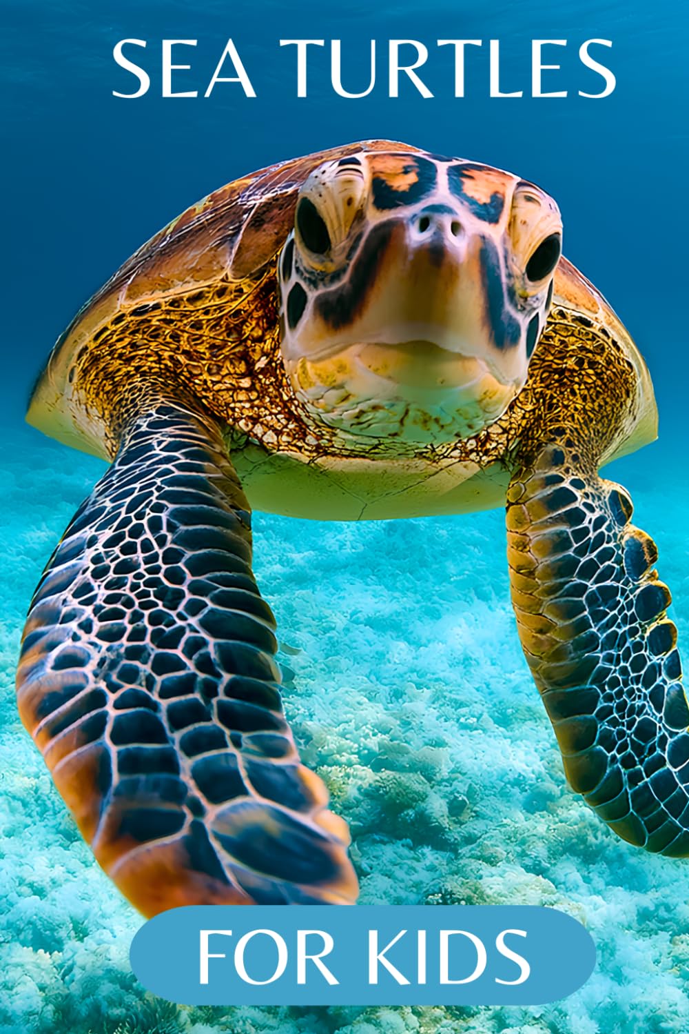 Sea Turtles for Kids: Beautiful Pictures with Amazing Facts