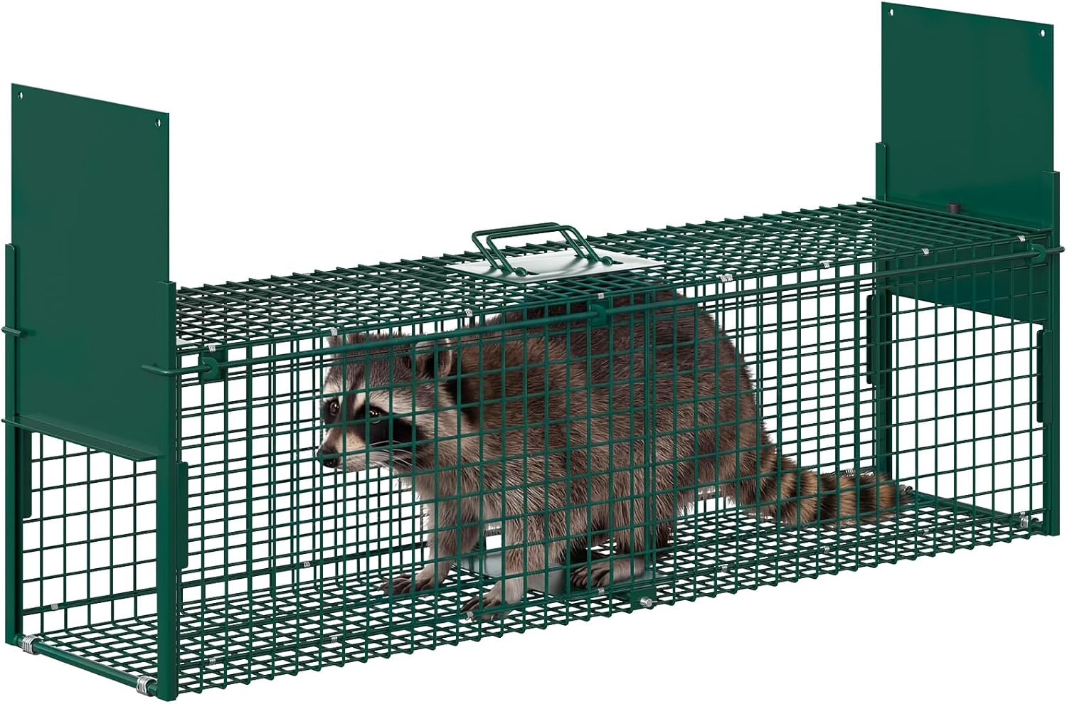 Garvee Live Animal Trap Hunting Release Cage with 2-Door Carrying Handle Sensitive Trigger Collapsible Steel for Raccoons Cats Large Rabbits Skunks Small Foxes Similar Animals