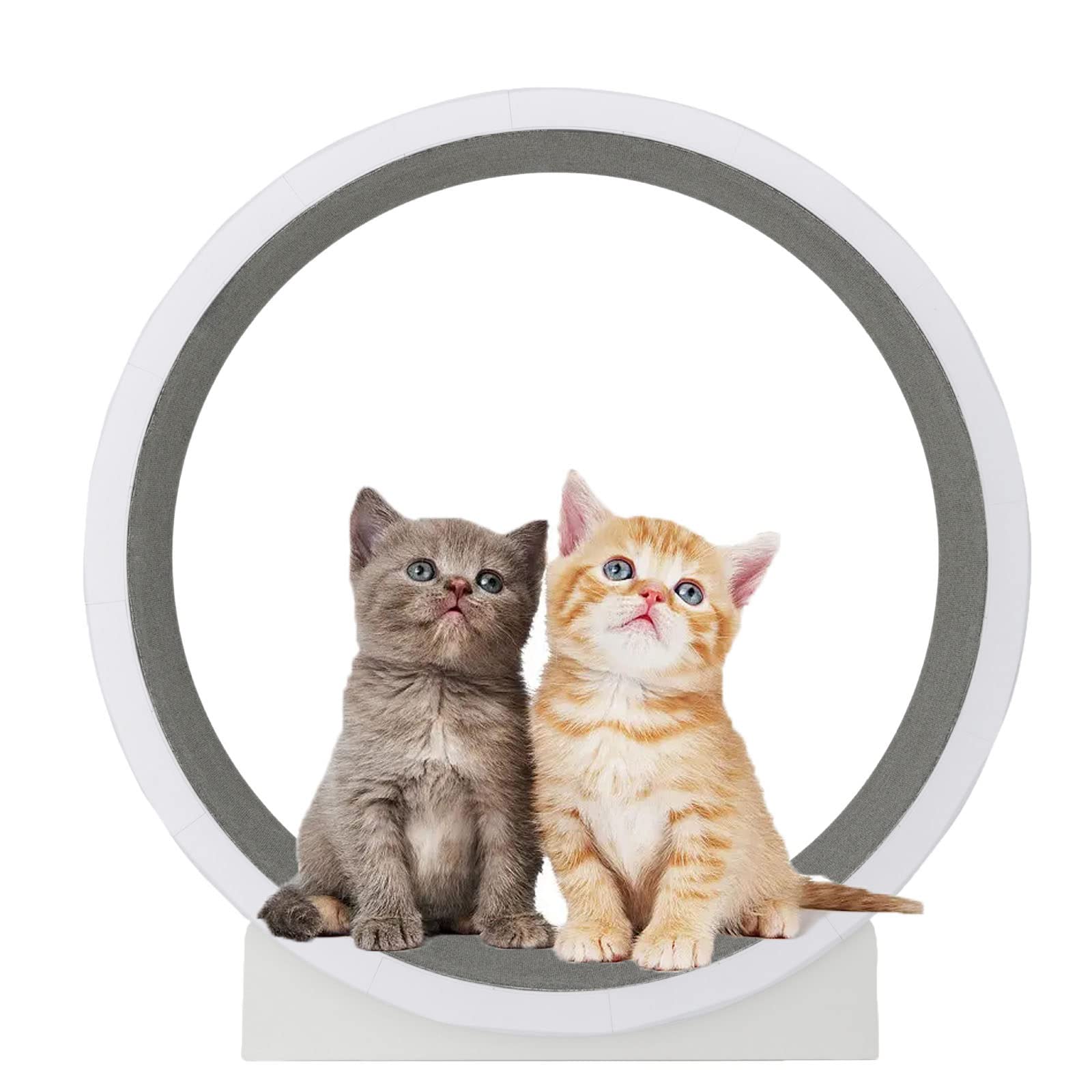 Rueda De Ejercicio De Gato,Ejercicio De Ruedas De Gato para Gatos Interiores,Cinta De Correr De Gato,Juguete De Gato Interactivo,para Actividad FíSica Y ReduccióN De Aburrimiento