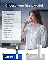 Vista 2 de Waterdrop Plus WDP-F19C Reemplazo para filtro de agua de refrigerador GE® RPWFE®, RPWF (con CHIP) NSF 401, compatible con WSG-4, GFE28GBLTS