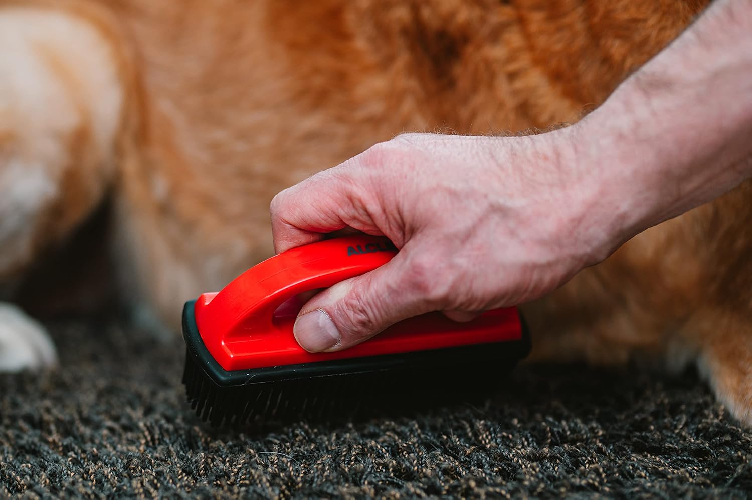 Sonax animal hair removal brush ليدرز سنتر